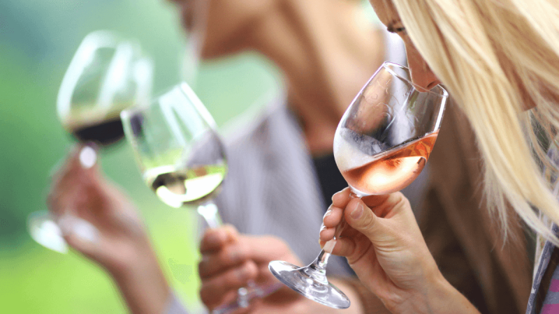 Vinhos Verdes realiza eventos gratuitos no Brasil